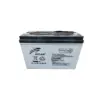 Ritar 100Ah Solar Battery Maintenance Free Dry Cell Deep Cycle Solar Battery