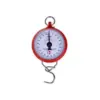 Hannson 100KG Weighing Machine