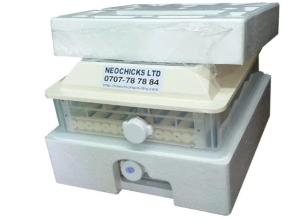 104-Eggs-Incubator-1.png