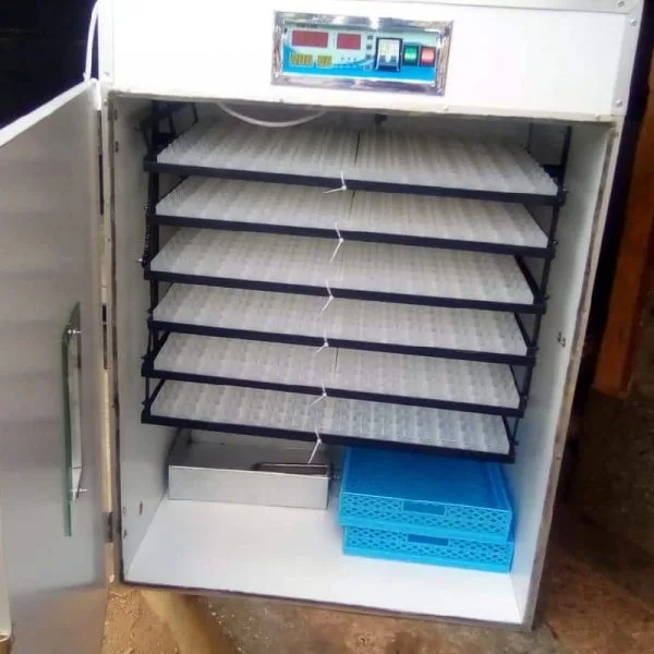 1056-eggs-incubator-100-600×600-1.jpg