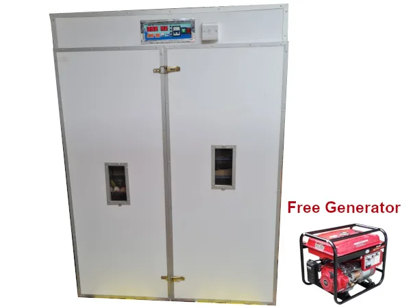 1584-Eggs-Incubator.jpg