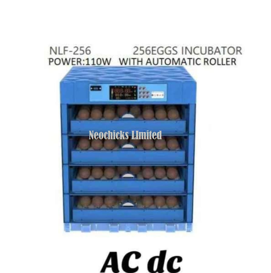 256-eggs-incubator.jpeg