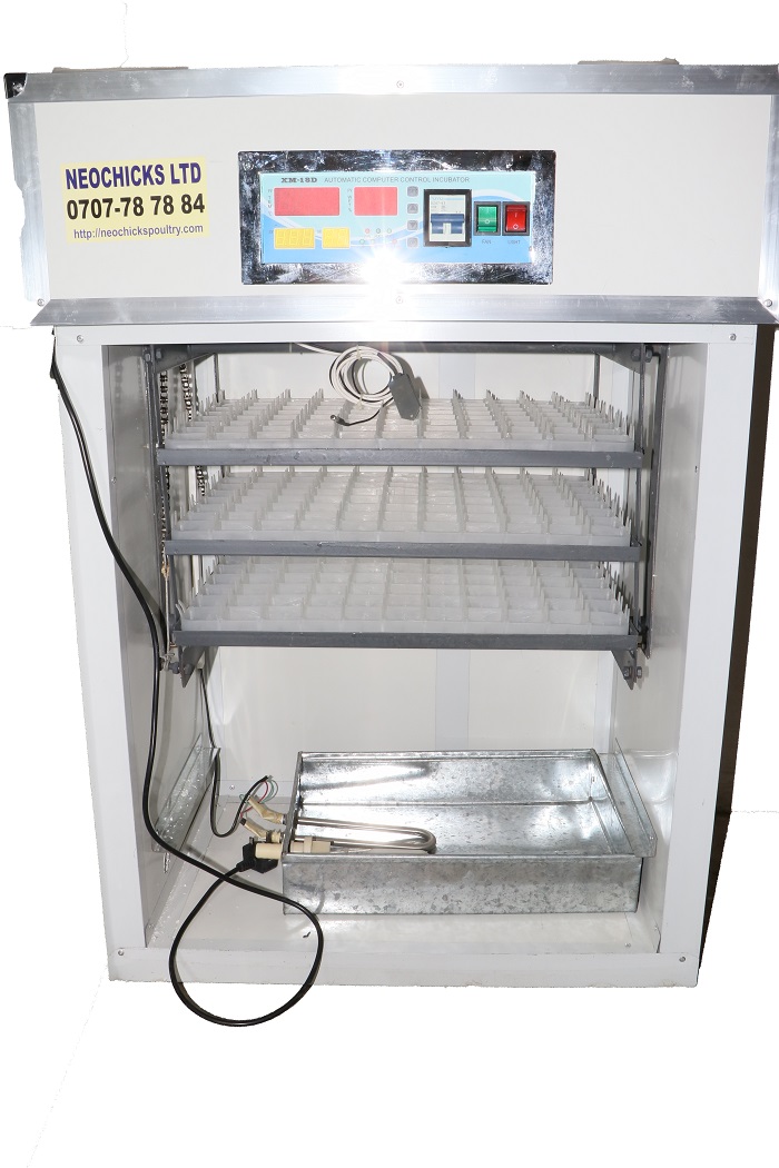 264-Eggs-incubator.jpg