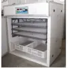 Full Hatcher 528 Eggs Incubator Fully Automatic Ac/dc Eggs Incubator
