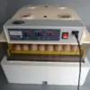 48 Eggs Automatic Incubator