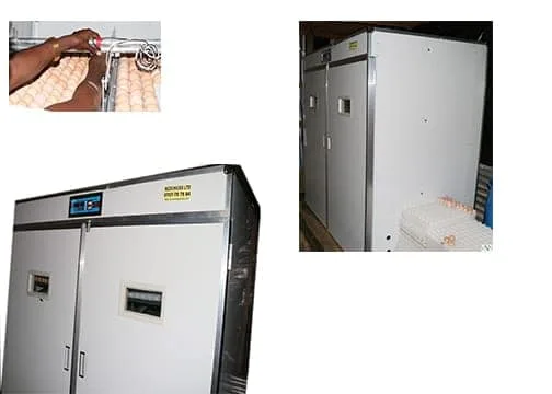5280Incubator.jpg