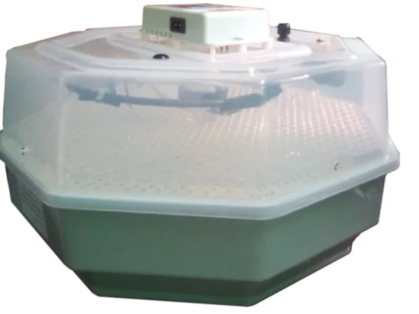 60-Eggs-semi-automatic-incubator.png