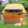112 Eggs Automatic Incubator