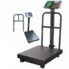 Big Base Industrial 300Kgs Digital Pricing Electronic Flatbed Platform Weighing Scales